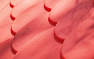 Dringhoe plastic roof costs